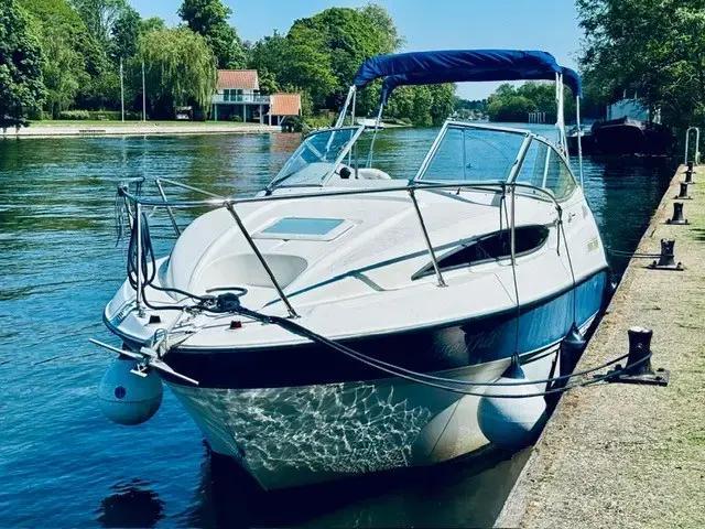 bayliner 245