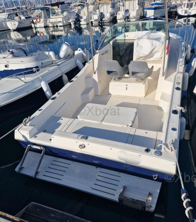 kelt White shark 237