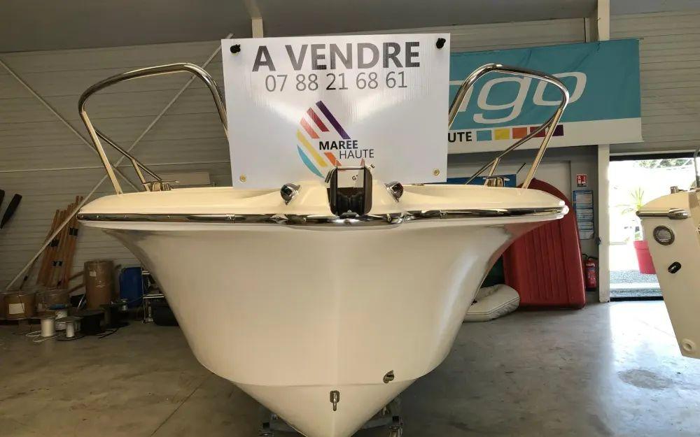 white shark White shark 210 cc origin