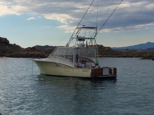 ocean tech Bimarine 40