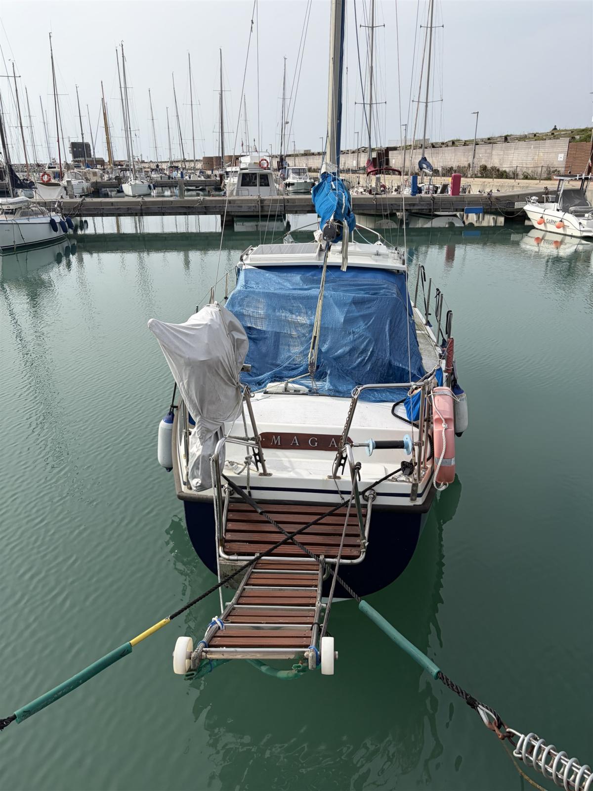 automarine Tortuga 27