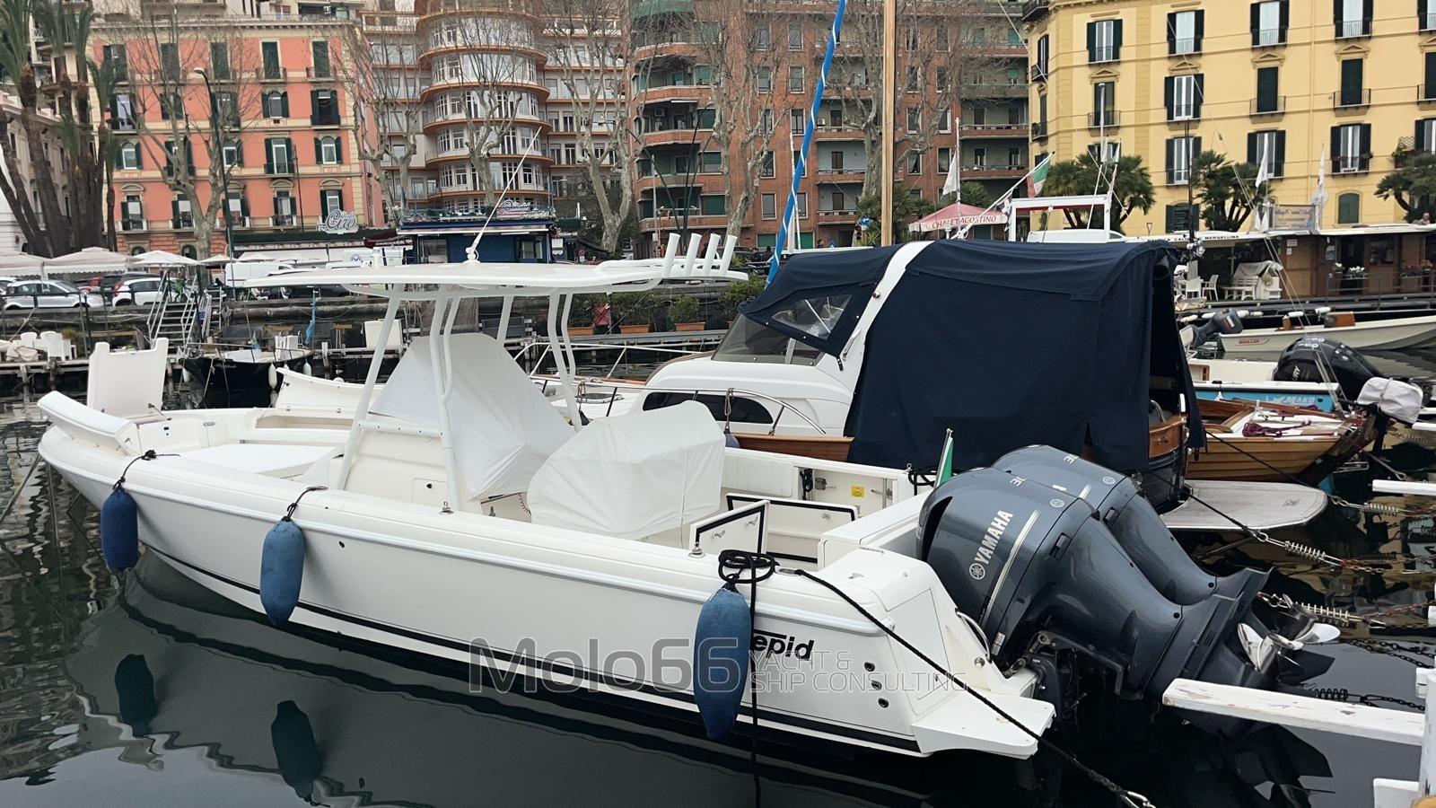 intrepid 323 open