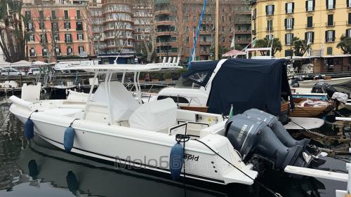 Intrepid 323 open
