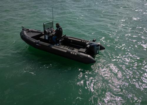 Tarpon tarpon dv65