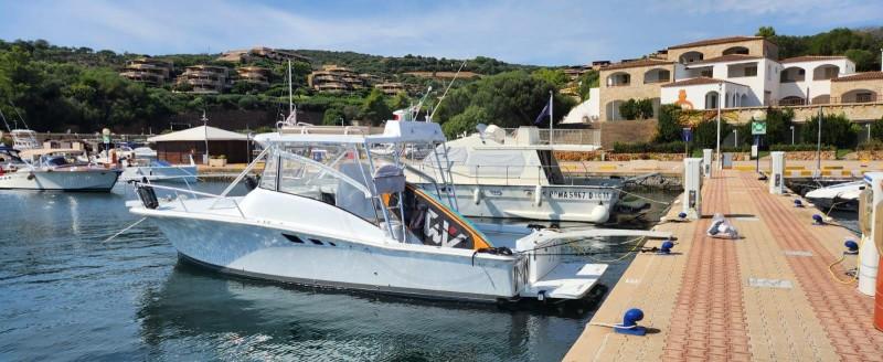 luhrs 32