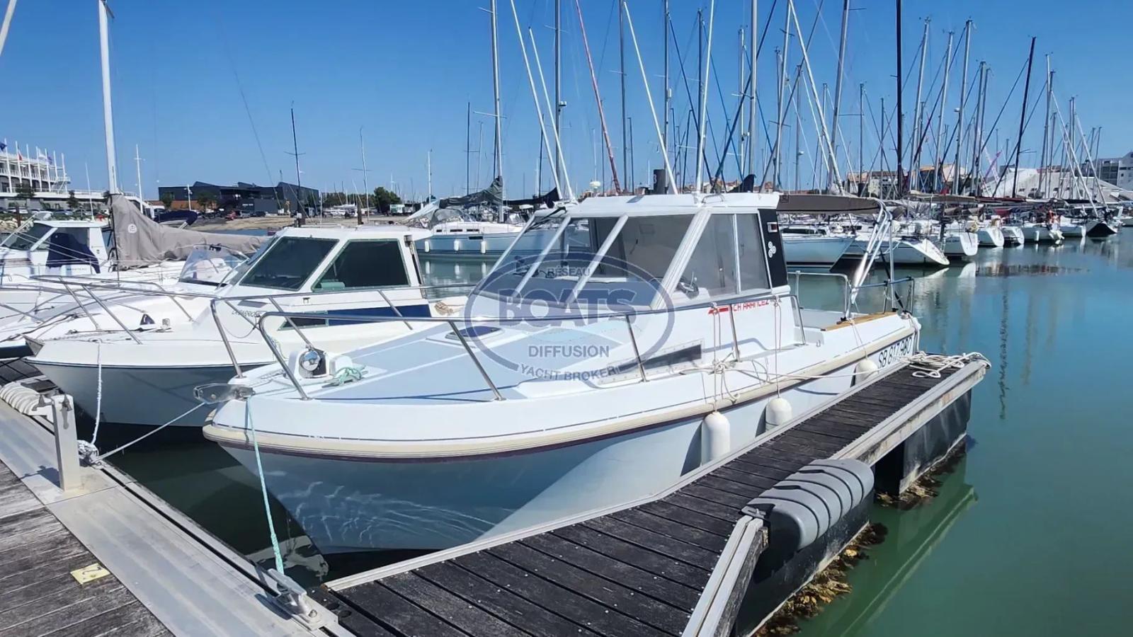 eider marine Sea rover