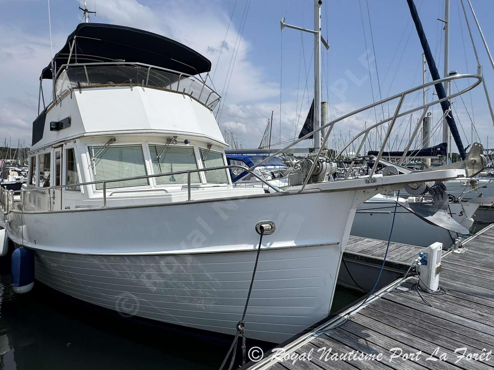 american marine Grand banks 42