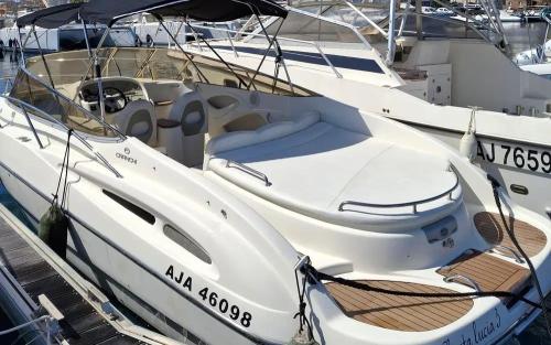 Cranchi csl 28