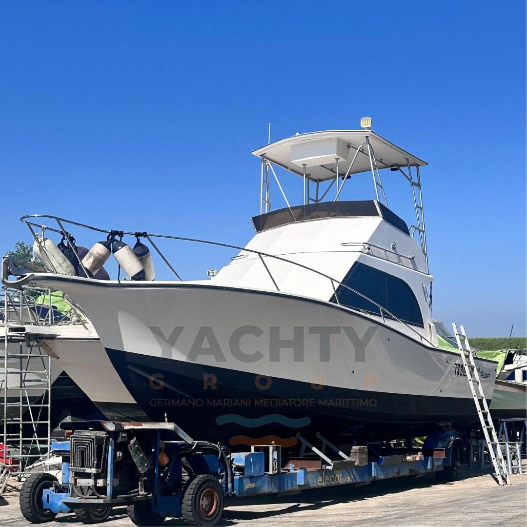albemarle 32' fly