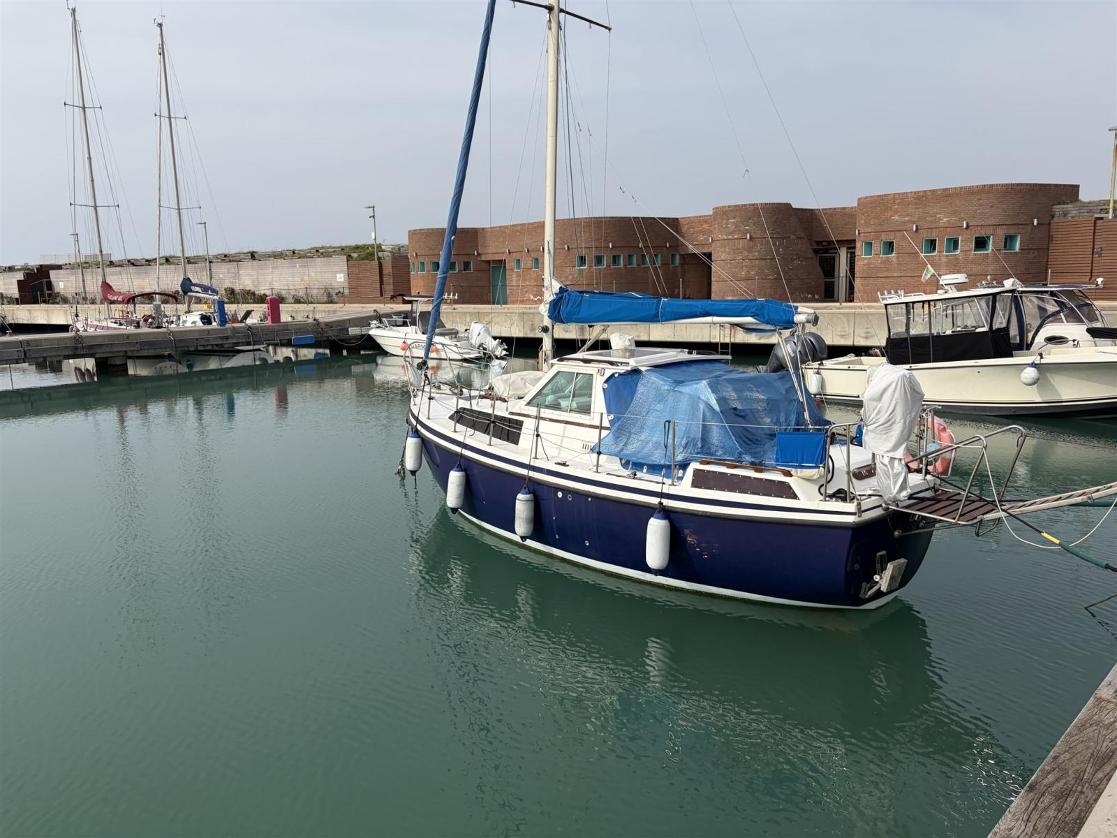 automarine Tortuga 27