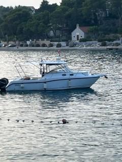 boston whaler Boston 305 conquest
