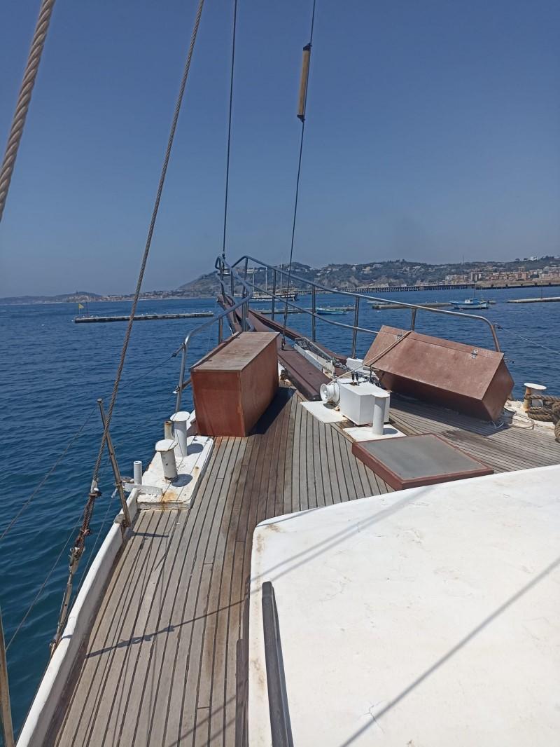 dorsun tosun Dorsun 16 mt