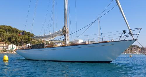 sciarrelli 82