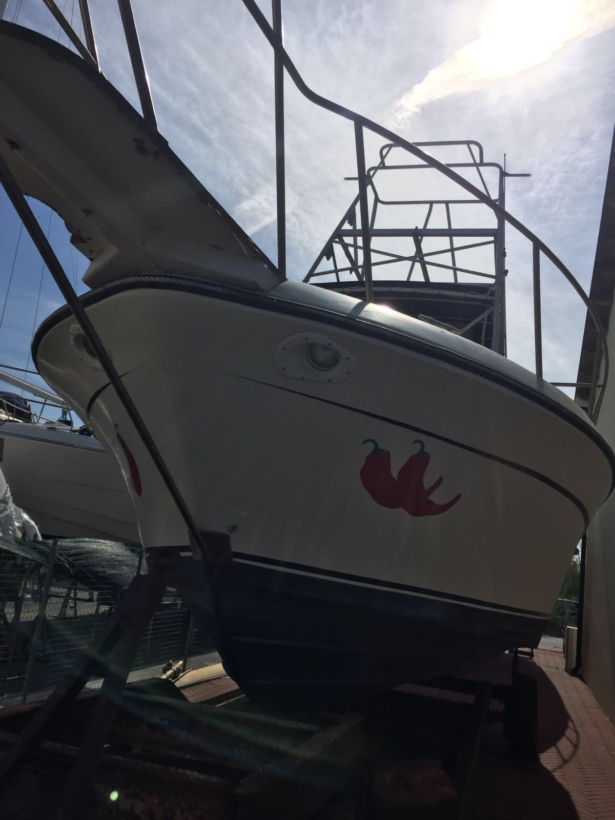 robalo Robalo 26 cavin walkaround