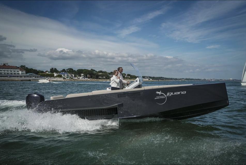 iguana 29