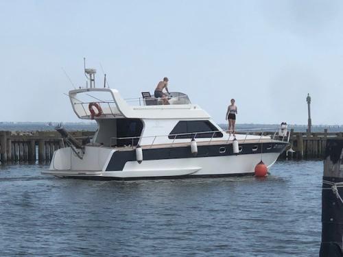 Mochi craft mochi 42