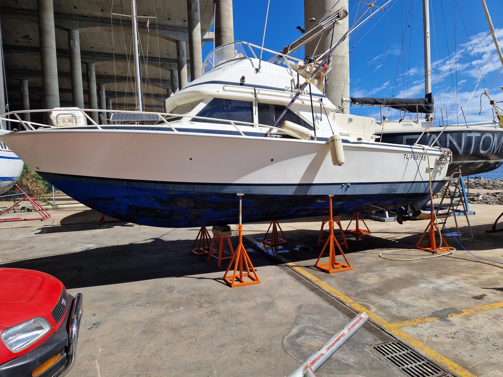 bertram 28