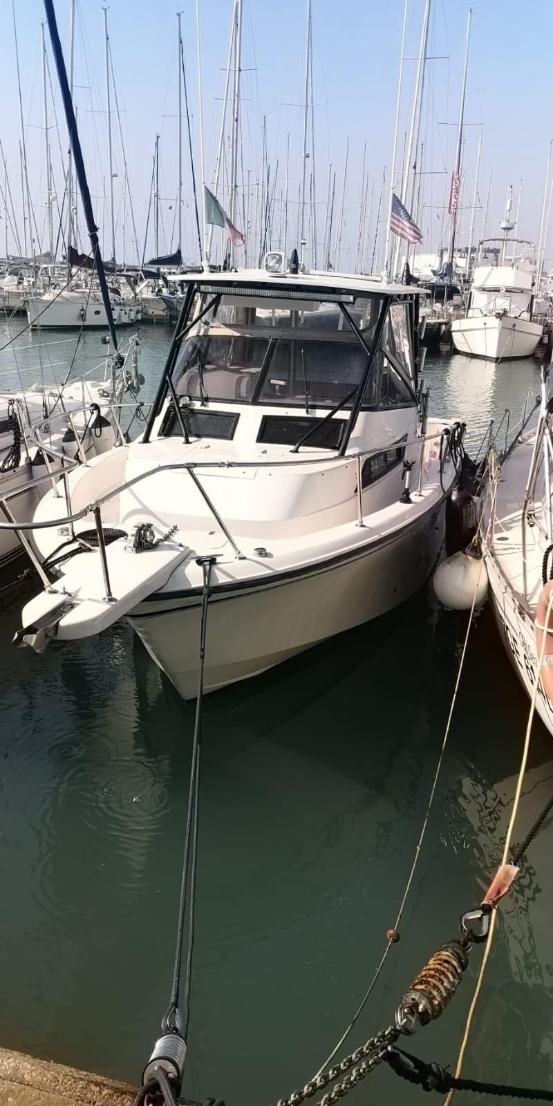 grady white boats 300 marlin wa