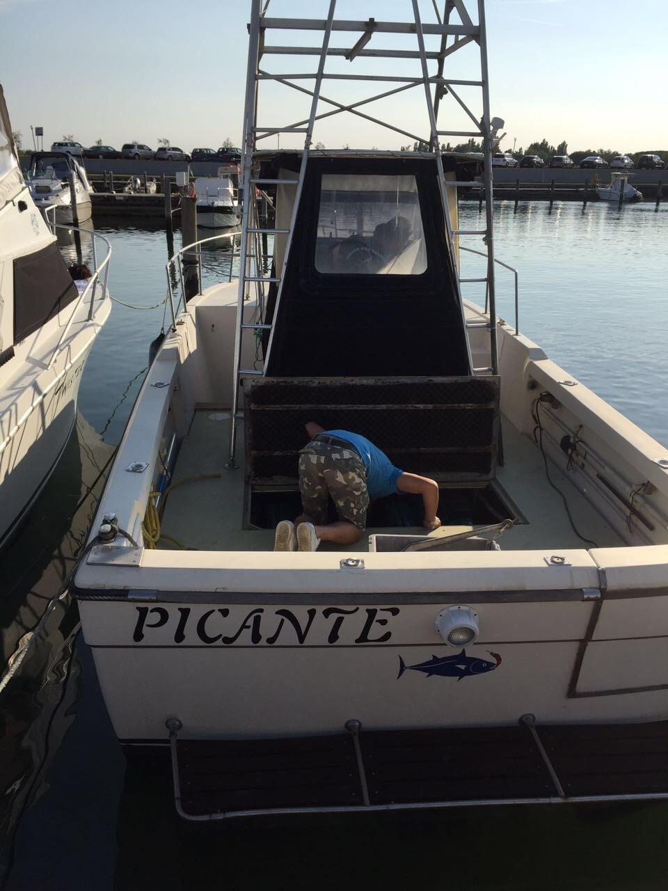 robalo Robalo 26 cavin walkaround