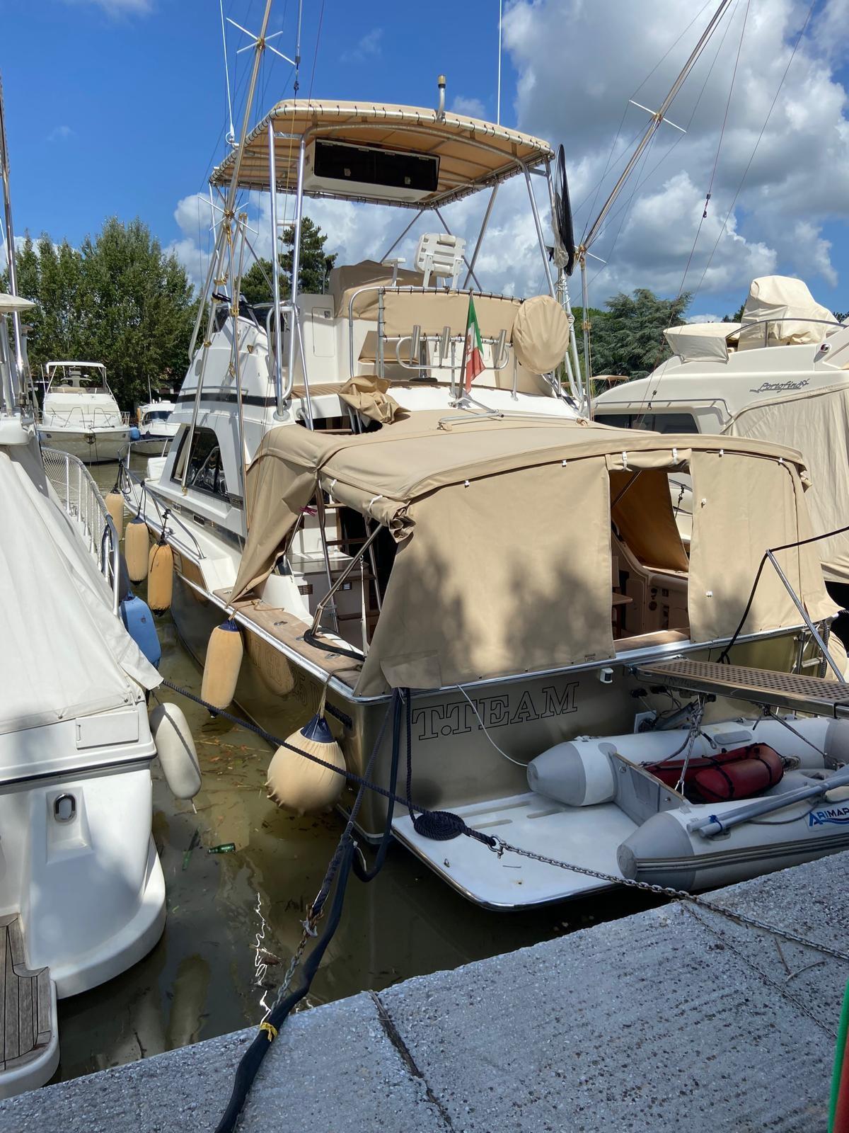bertram yacht 37' convertible
