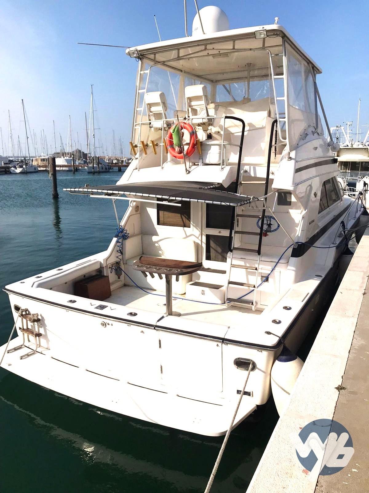 bertram yacht 43