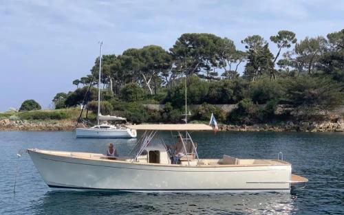 Rhea rhea 35 open