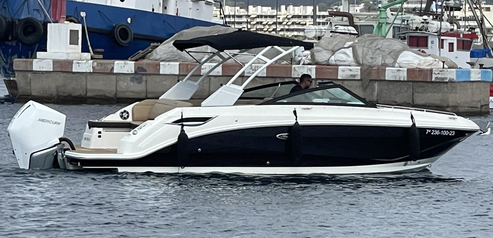 sea ray 250 sdx ob