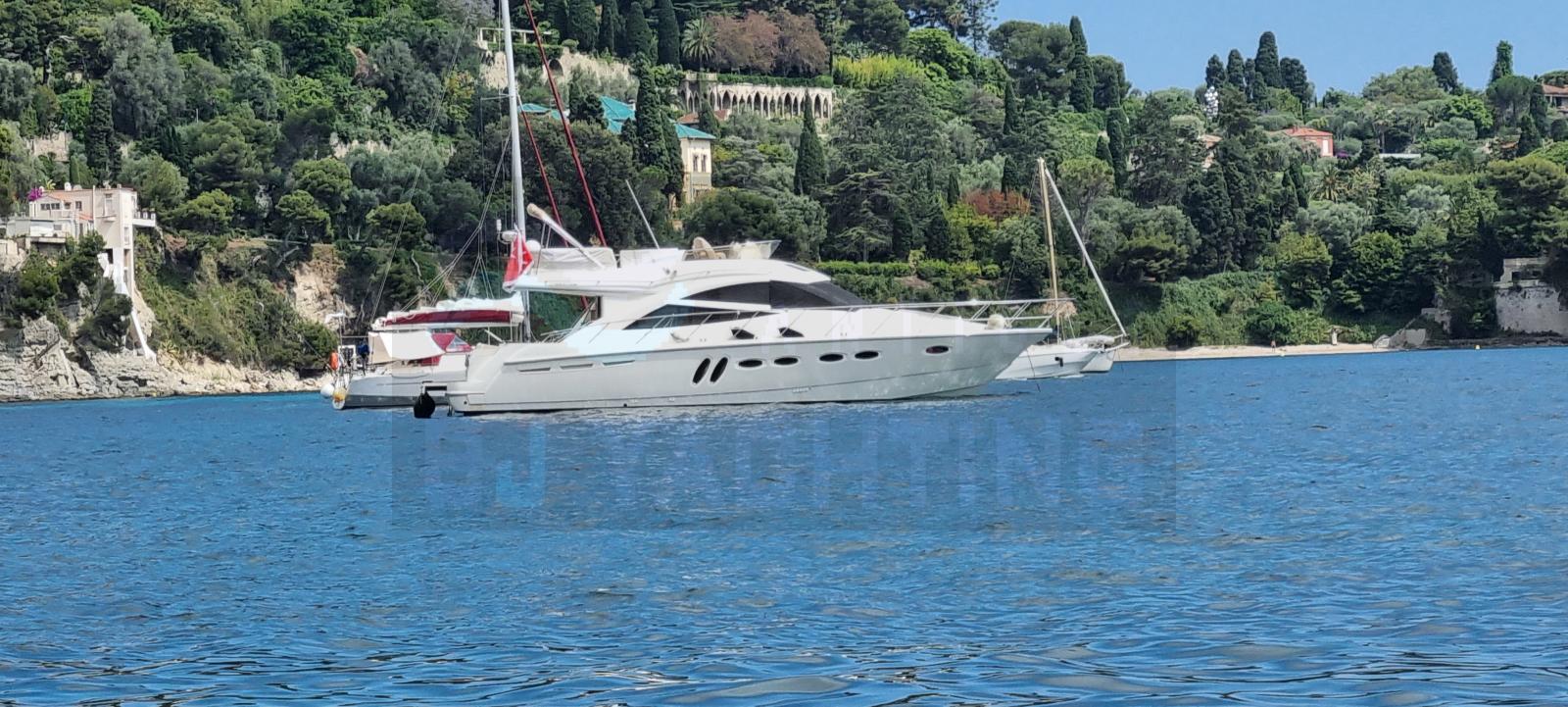 sealine T50