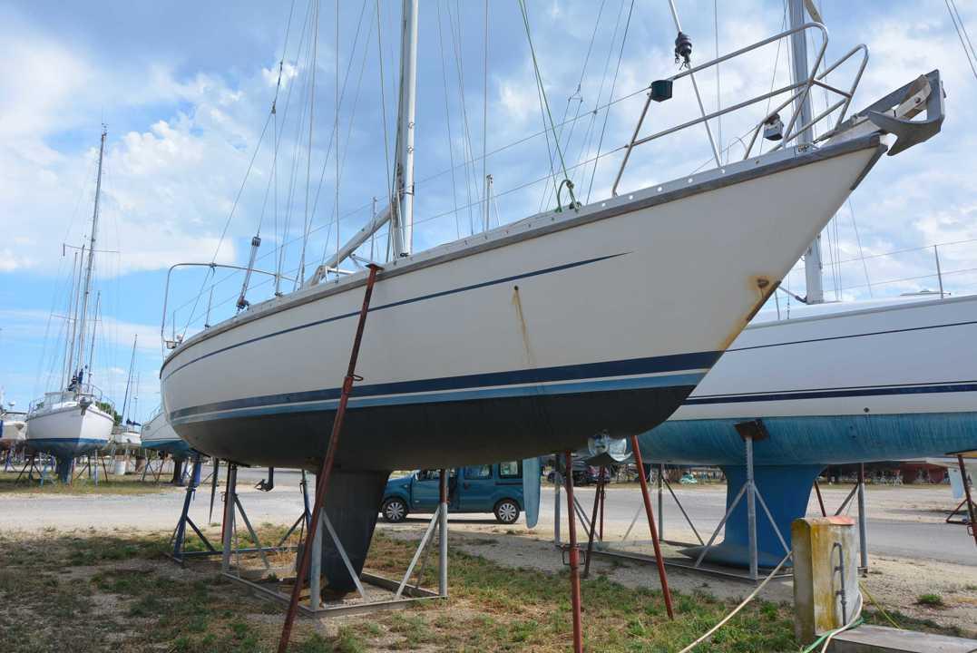 Luffe 46