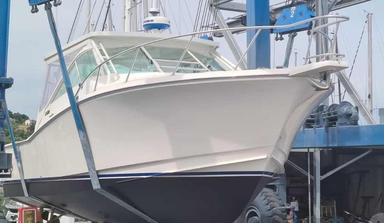 cabo 31 express