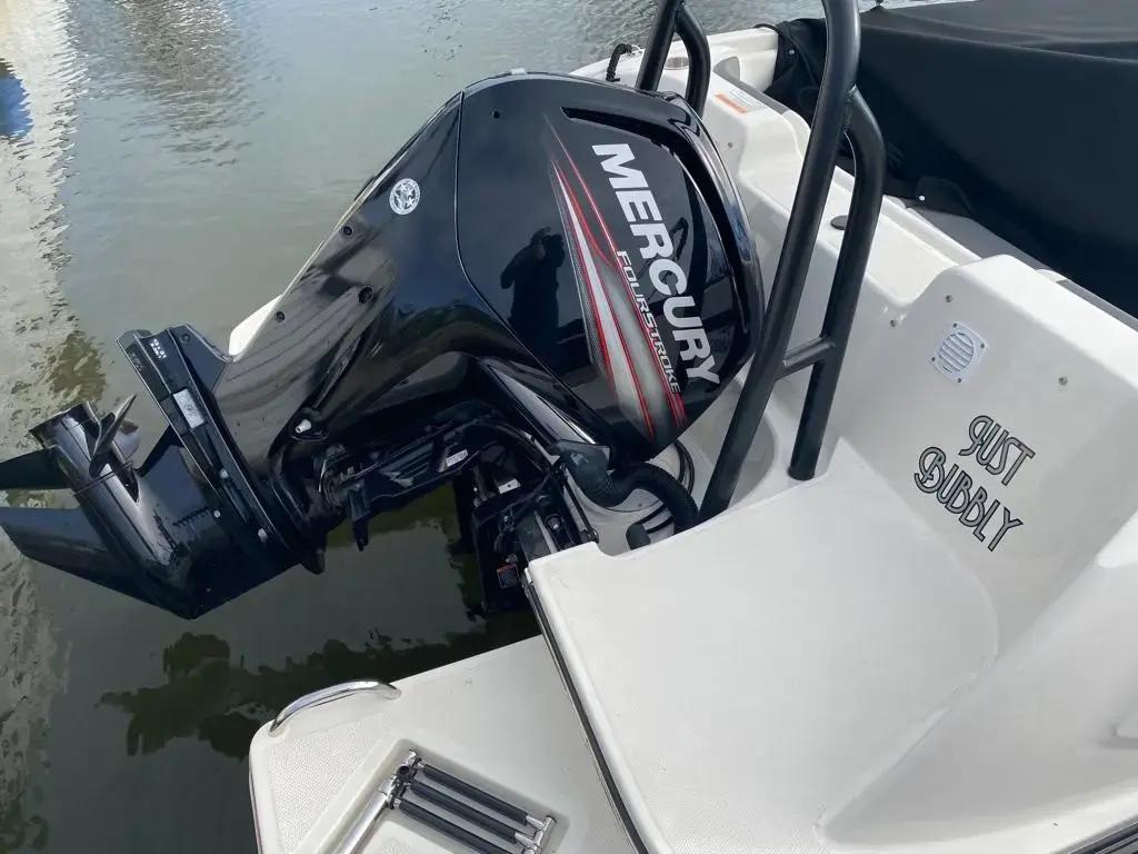 bayliner Element e21