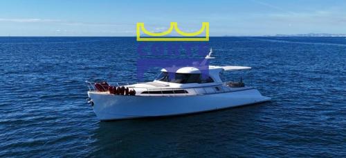 Mochi craft dolphin 51