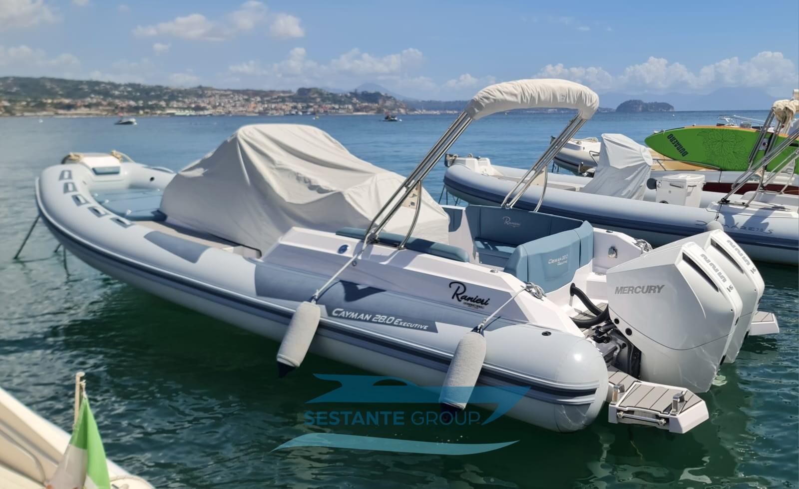 ranieri international Cayman 28 executive