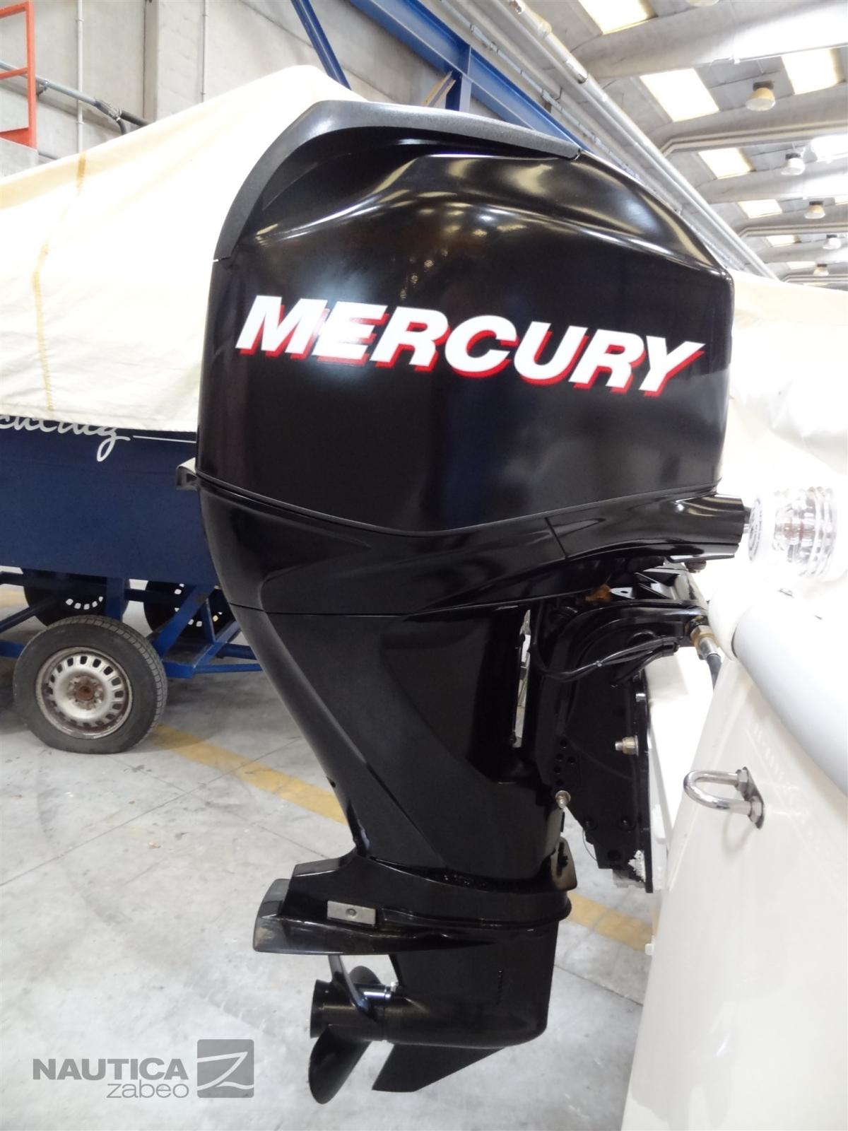 quicksilver 500 fish