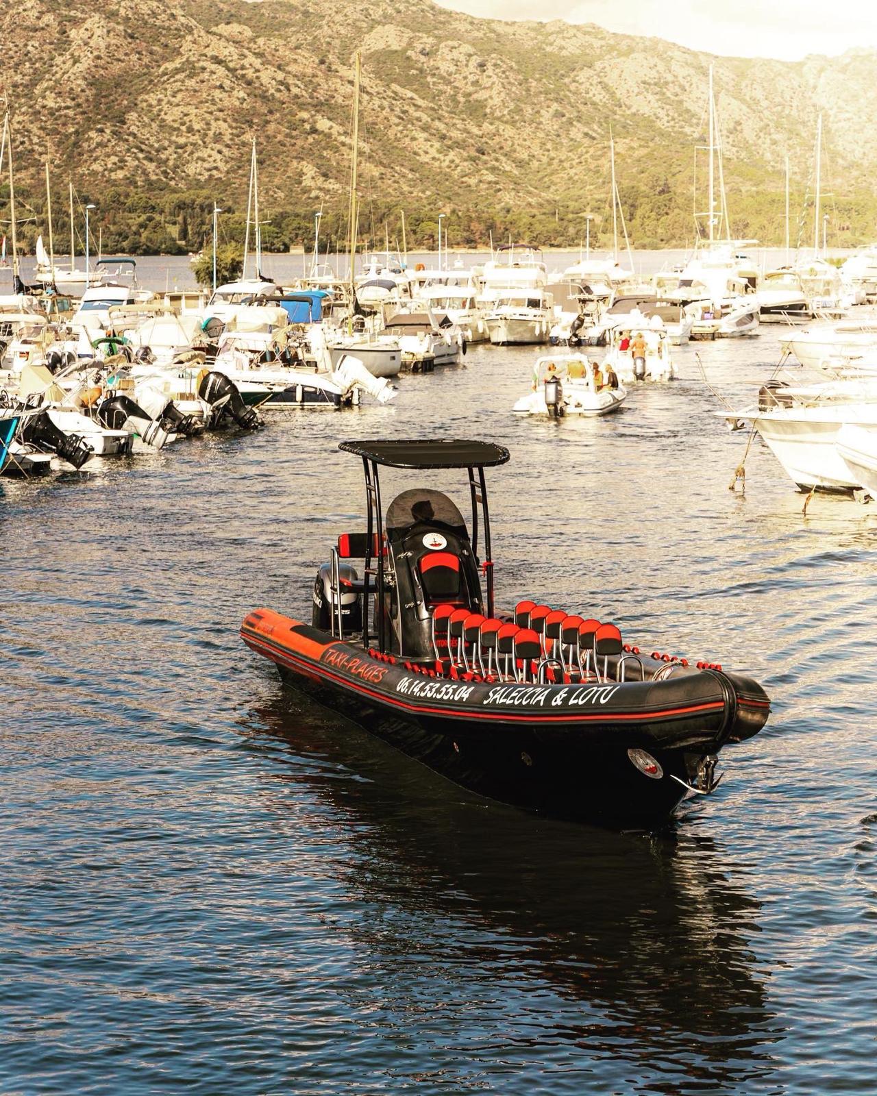 narwhal Fast 1200