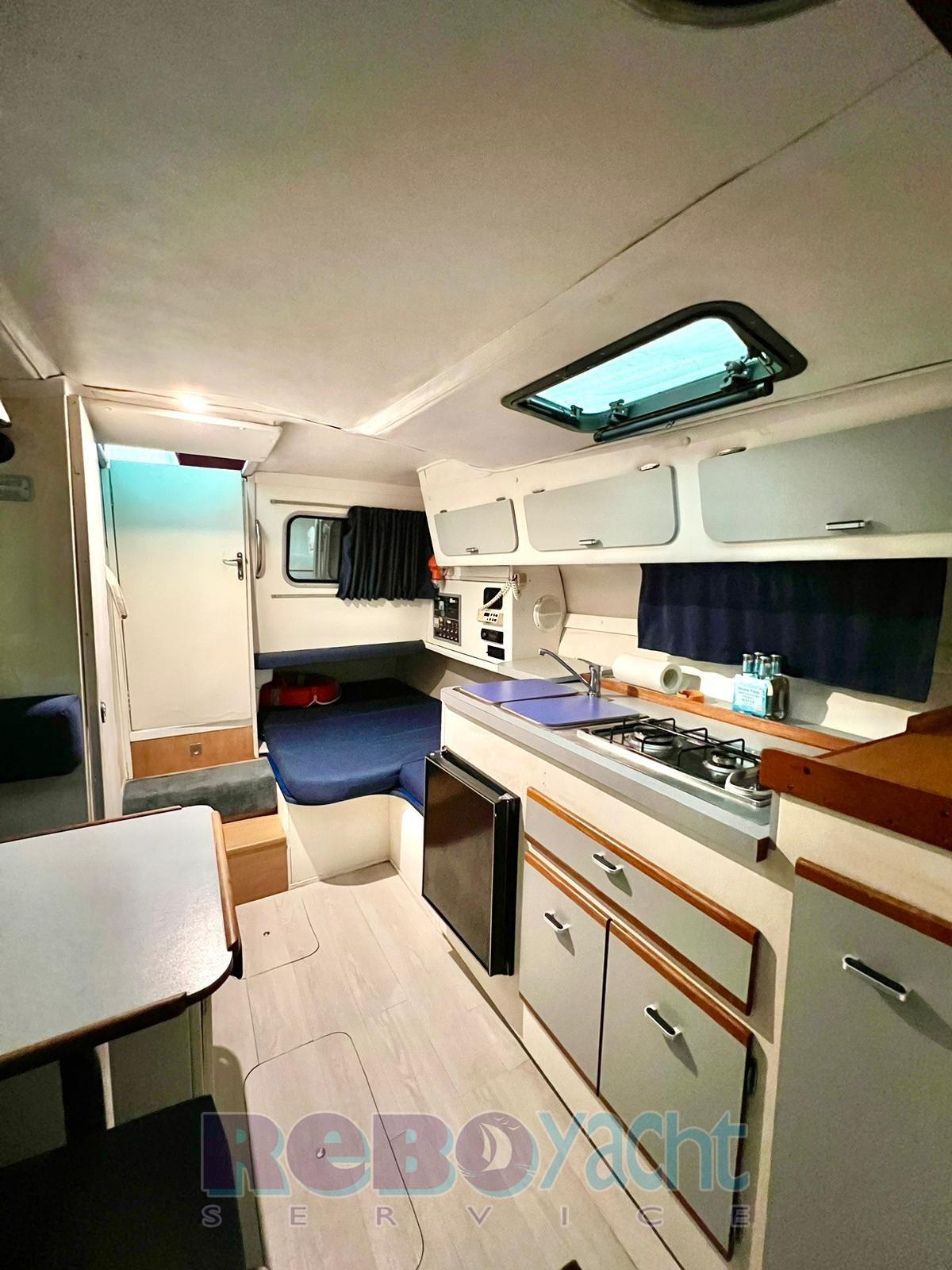cruiser 30 rogue