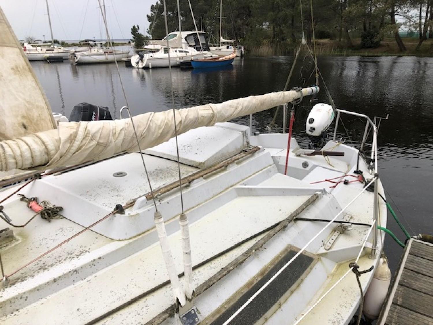 edel Edel 6.60
