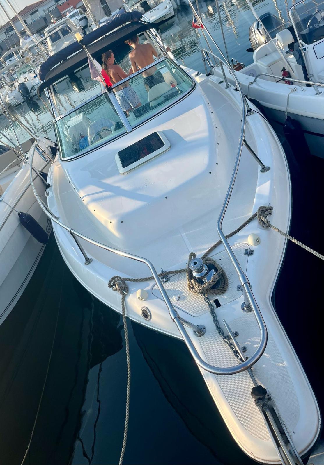 seaswirl Stripper 755