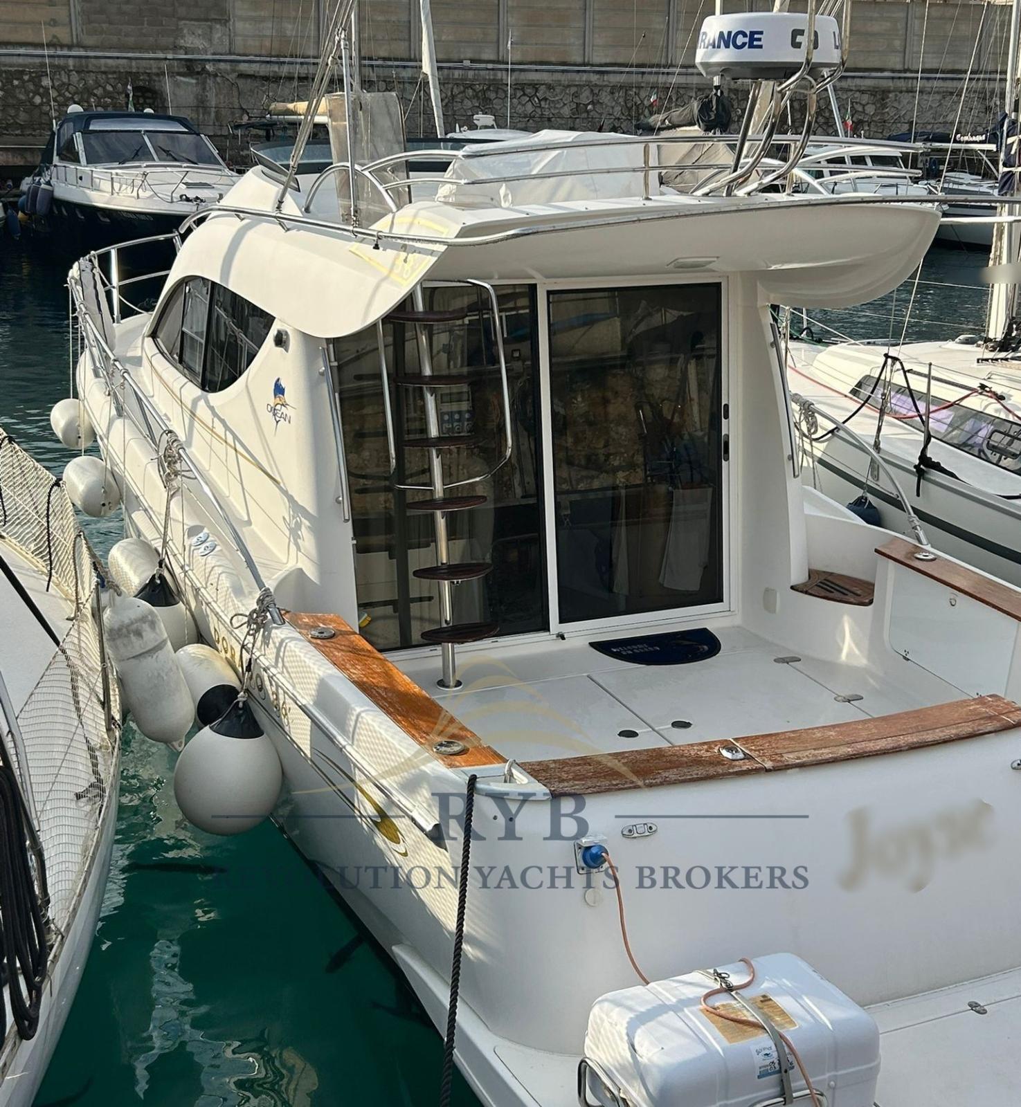 sessa marine Dorado 36