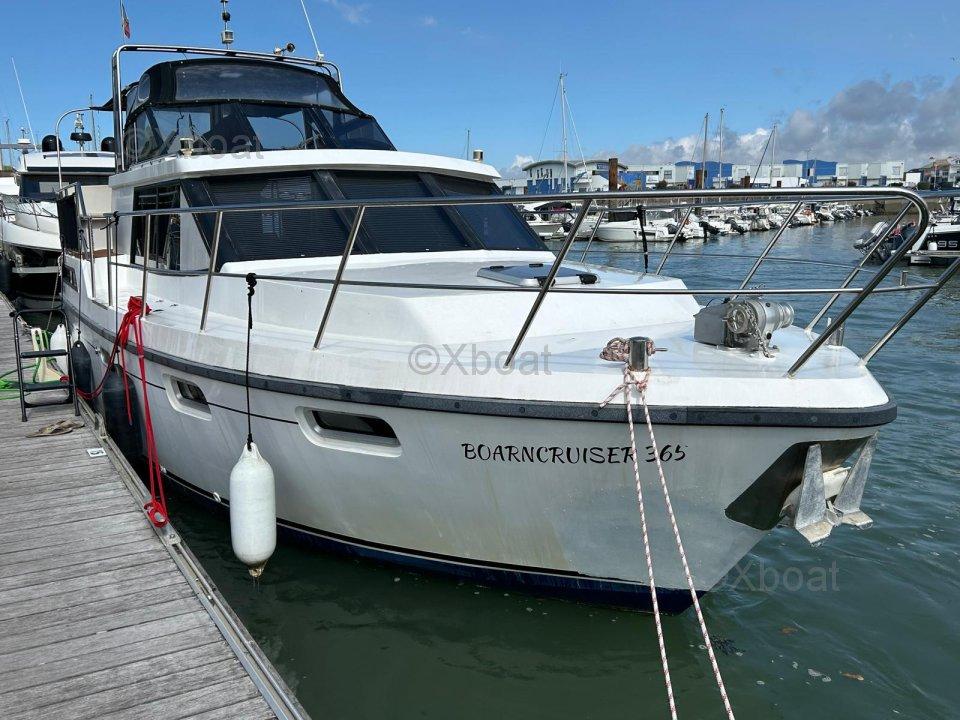 boarmstream Boarncruiser 365 new line