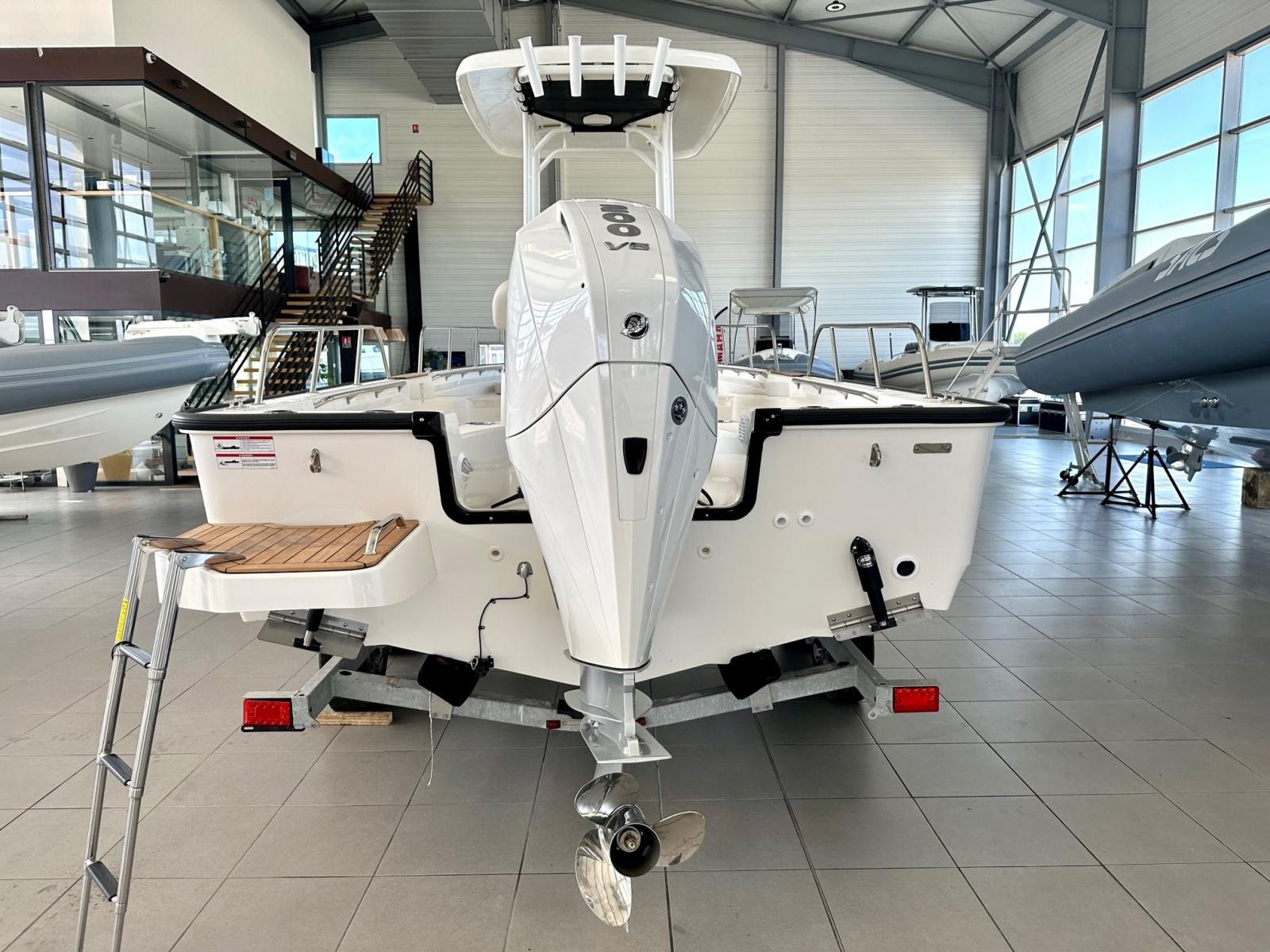 boston whaler 210 montauk