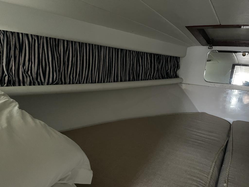 tornado 38 sport