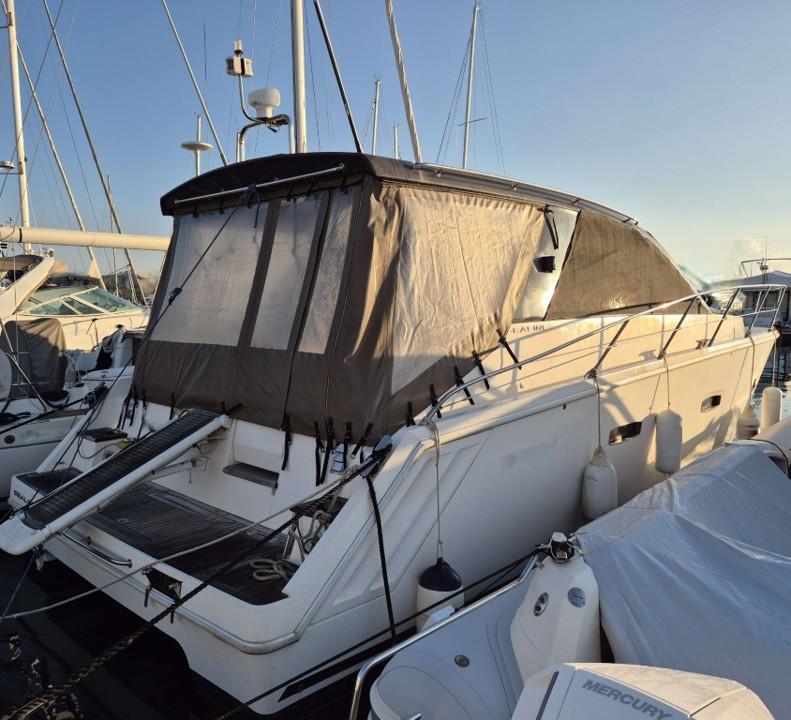 sealine Sc 35