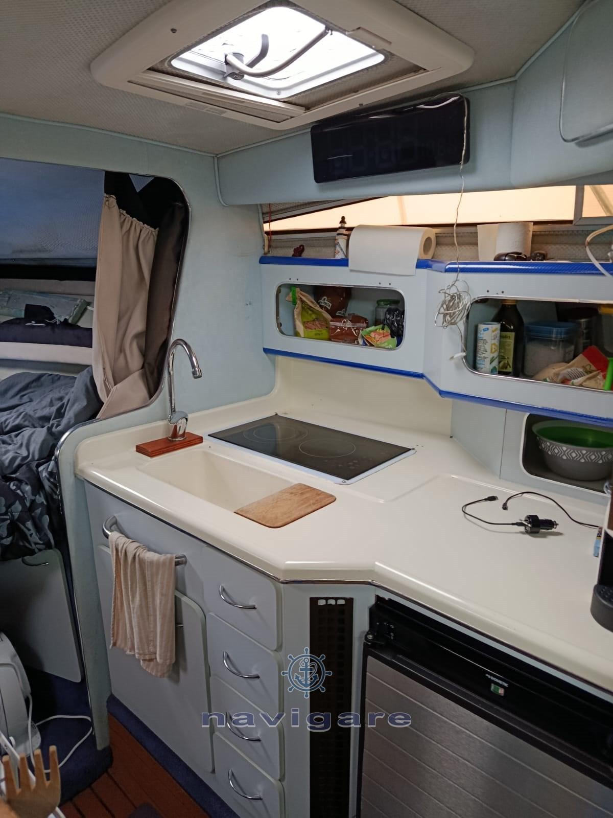 sea ray 290 sundancer