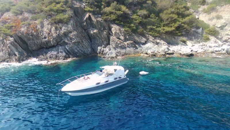 fairline Targa 39