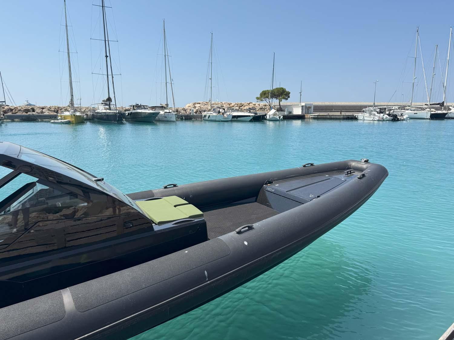 goldfish 38 sport