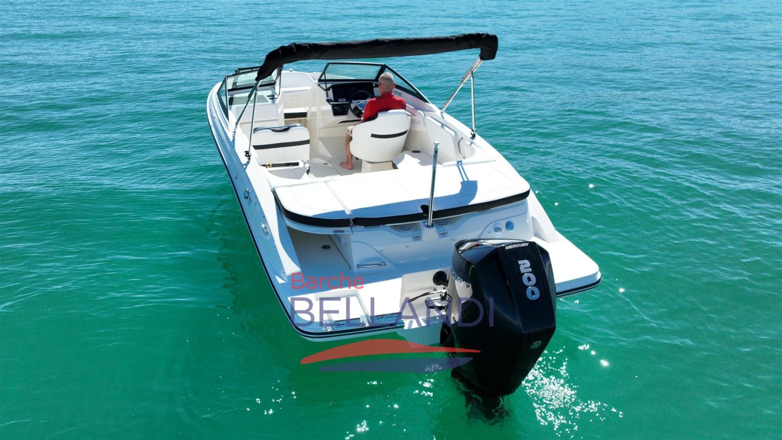 sea ray Spx 210 outboard