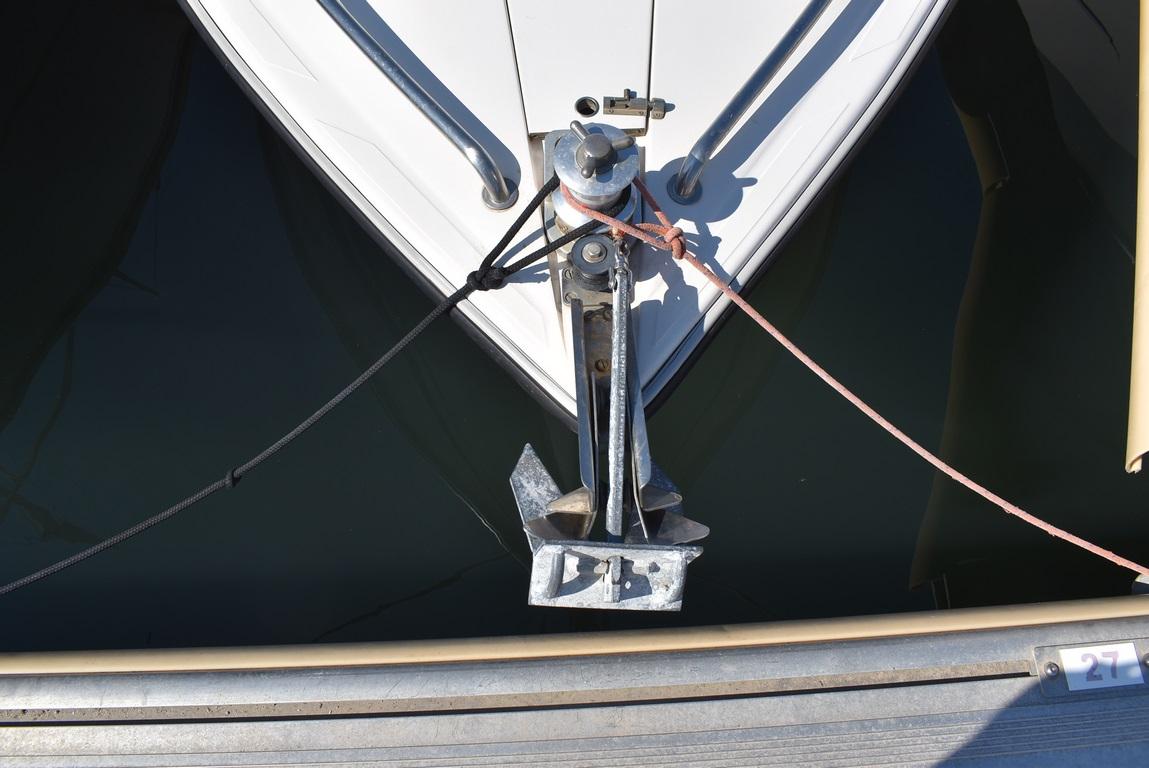 tullio abbate Tullio abbate sea star