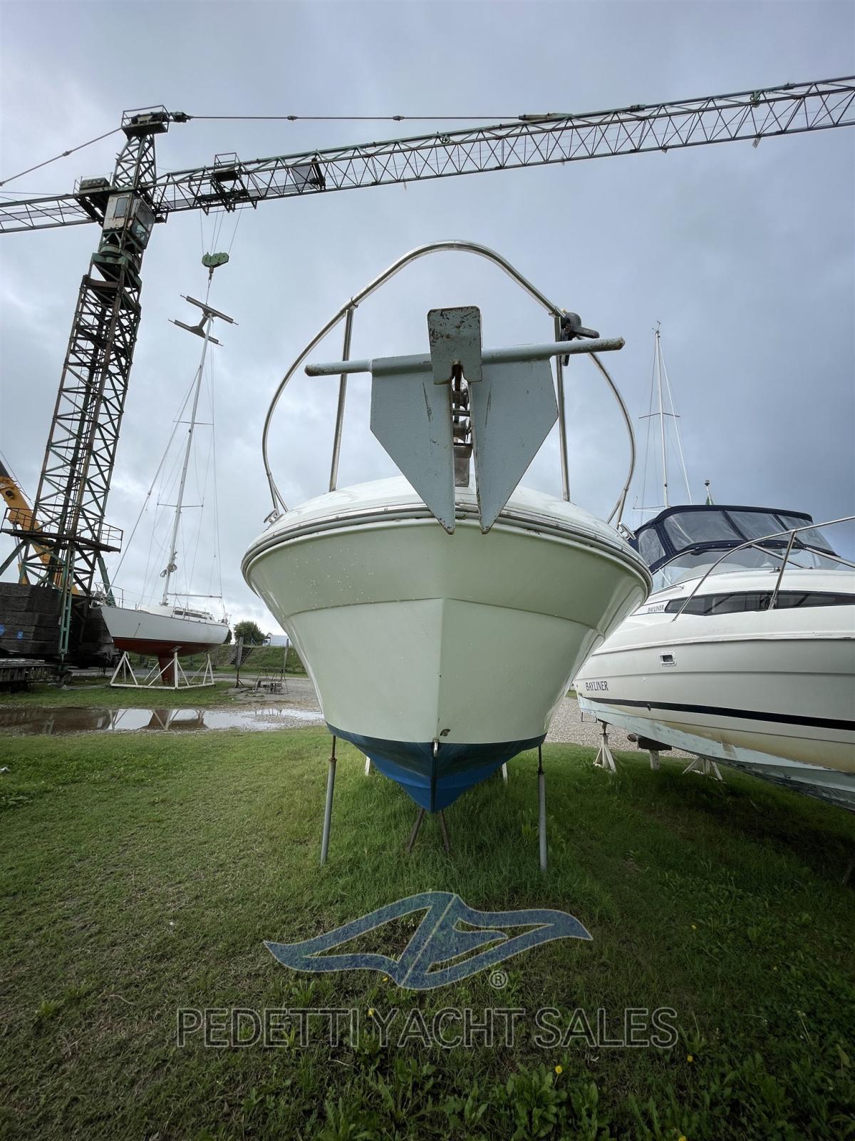 sea ray 230 da