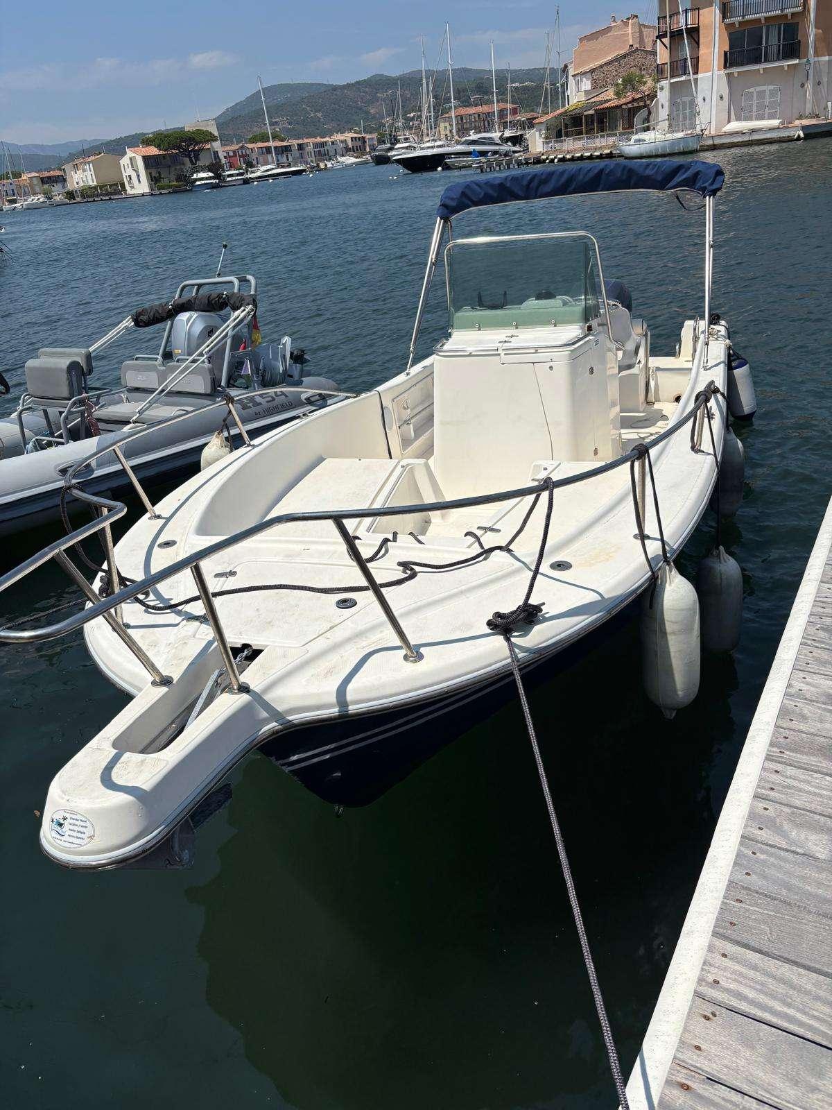 white shark White shark 225